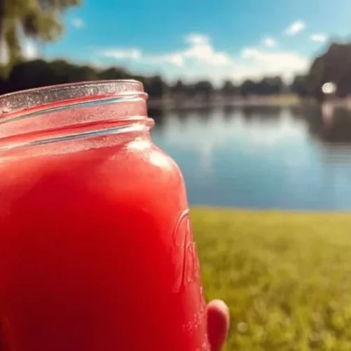 watermelon lemon ginger 2026 04 05 150301 1024x574 1